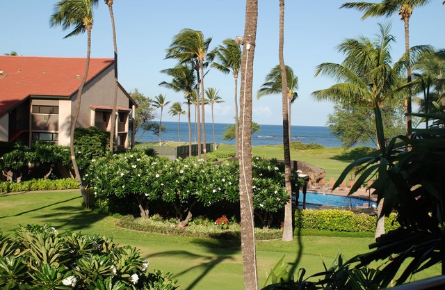 Fall Sale! Oceanfront/Ocean view condo in S. Maui,Free A/C, Wifi, Parking, Pool!