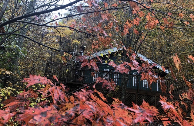 Falling Leaf Cabin - a true cabin in the woods in a private setting