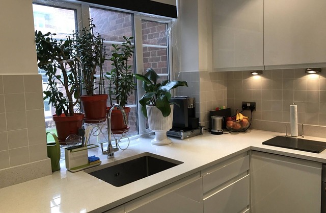 Family Apartment in London for Xmas near Zoo