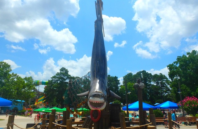 Family Break! Close to Geronimo Adventure Park & Hurricane Harbor Splashtown