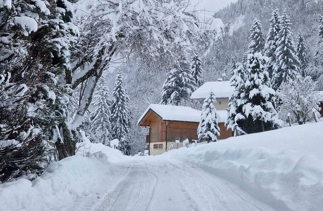 Family chalet, 10 pers (8 adults), Grand Bornand and La Clusaz