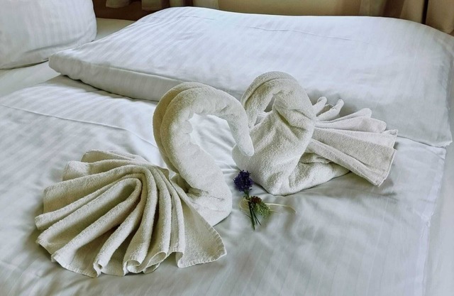 Family dream: cranes, deer, lagoons - nature and relaxation