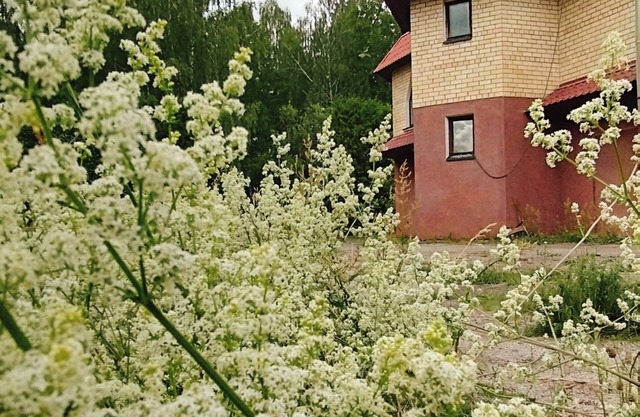 Family friendly accomodation near the Baltic sea!