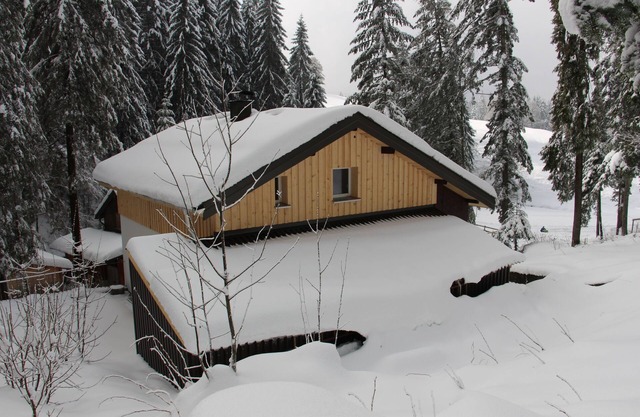 Family-friendly holiday home for up to 8 people, directly in the ski area