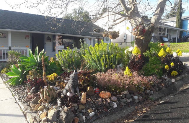 Family Friendly Home: Clean, Quiet, Safe, and Comfortable, near City Center