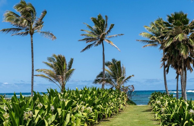 Family friendly home in Hauula; steps from beach