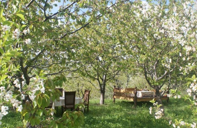 Family guest house The spring Бахор