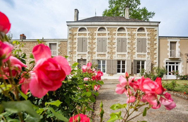 Family home in a wooded park with swimming pool near Futuroscope