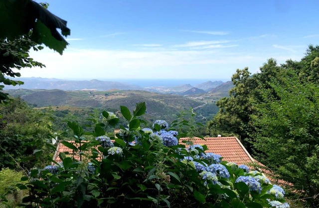 Family home with sea view near St-Florent
