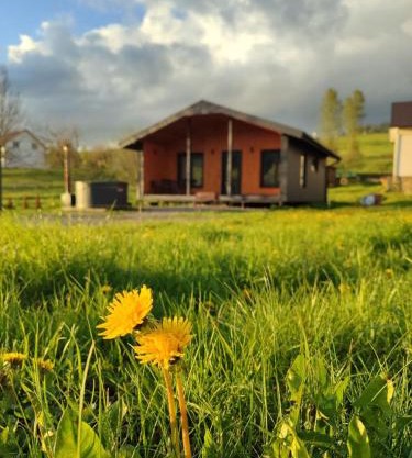 Family House Volosianka