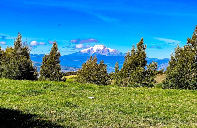 Farm Cottage in the Ecuadorian Andes with Unique Rural Experiences