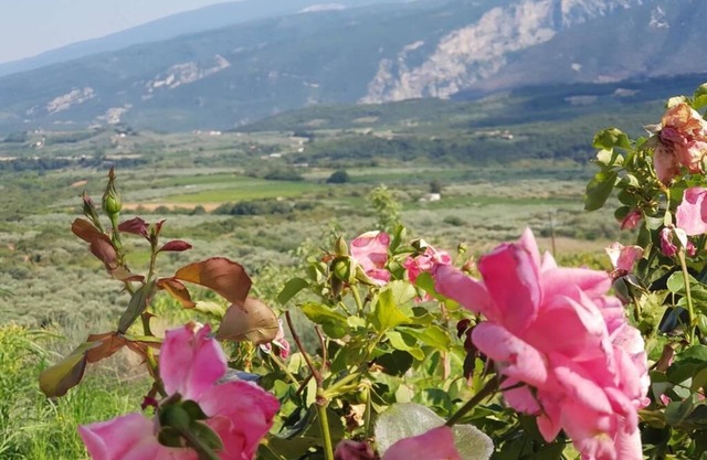 Farma Tsalta live the experience on the Mount "OLYMPUS"