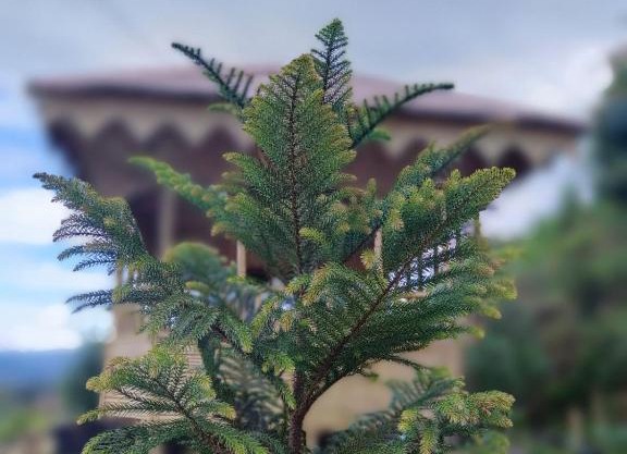Farmers Farm & Farm Stay