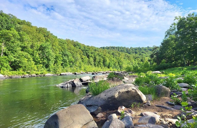 Farmhouse amidst Appalachian peace & tranquility & views! Pet-friendly!