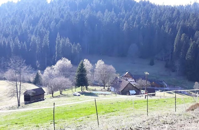 Farmhouse Black Forest Seewald 100% nature bathing lake
