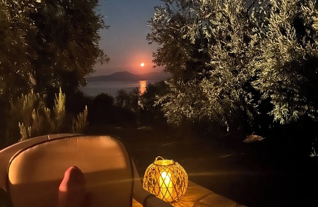 Farmhouse in an olive grove in Pelion Greece near Volos directly by the sea