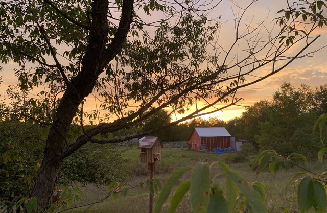 Farmhouse on 10 acres close to Frankfort, beaches, trails
