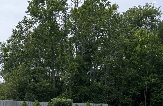 Farmhouse, close to all Wildwood and Cape May Boardwalks. unlimited parking.