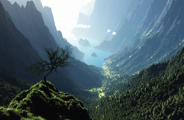 Feel like home. Beautiful and cheap holiday home for nature lovers