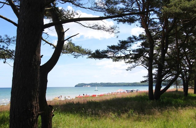 Ferienhaus Boddenblick - Charming semi-detached house in Trips on Rügen -