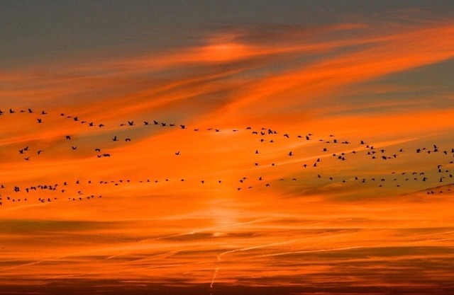 Ferienhaus für 4 Gäste mit 60m² in Putgarten