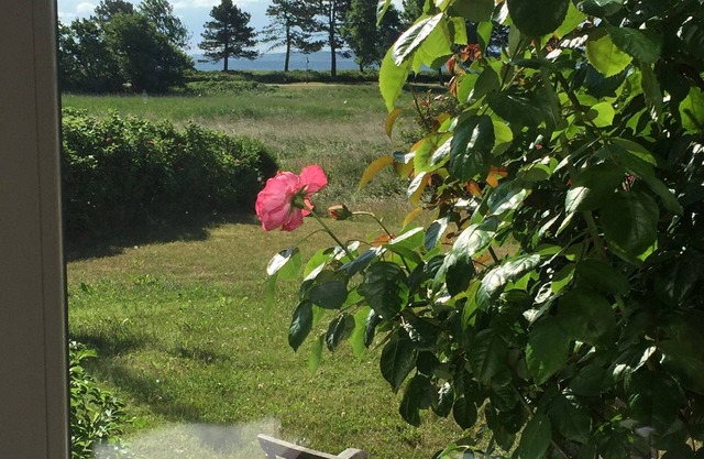 Ferienhaus für 7 Gäste mit 110m² in Glücksburg