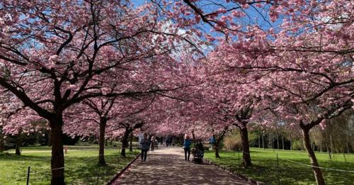 Ferienhaus Sanddornweg 06 mit Klimaanlage & E-Ladestation