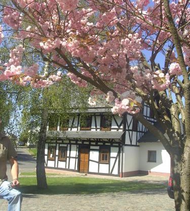 Ferienhaus Schmitt