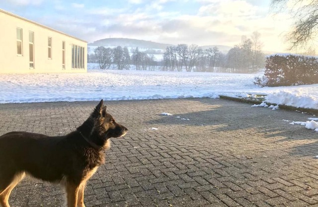 Ferienhaus Talblick