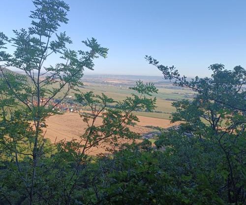 Ferienhaus Waldperle Harzblick