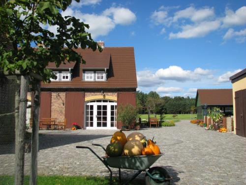 Ferienhof Erlengrund
