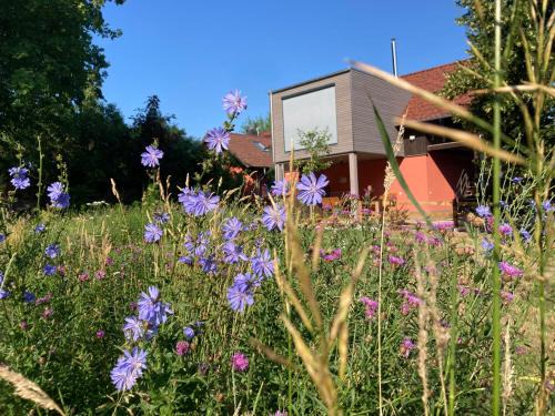 Ferienloft Libela Straupitz im Spreewald
