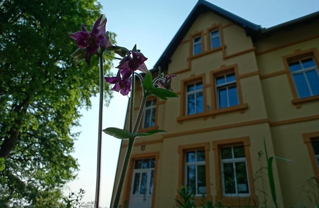 Ferienwohnung Forsthaus