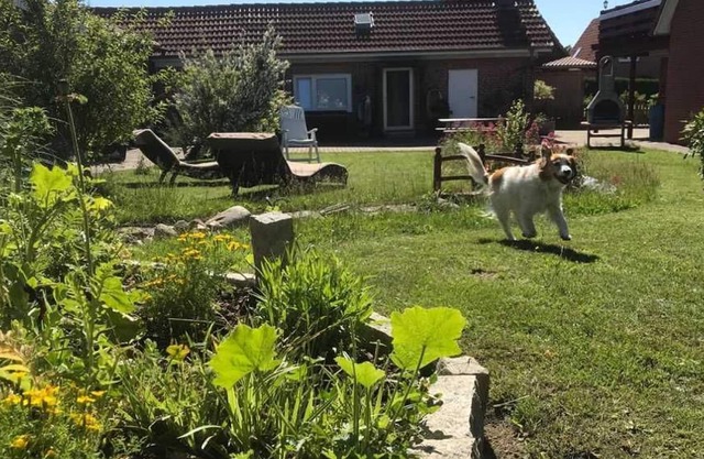 Ferienwohnung Ankerplatz