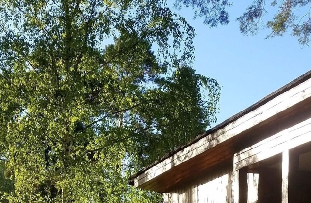 Ferienwohnung/app. für 3 Gäste mit 52m² in Wendisch Rietz