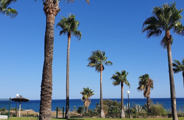 Ferienwohnung/app. für 5 Gäste mit 220m² in Estepona