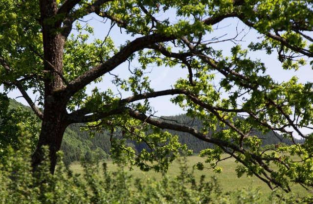 Ferienwohnung Augenblick (im Ferienhaus Lichtblick)