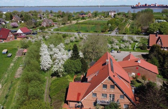 Ferienwohnung Elbblick - Elbblick
