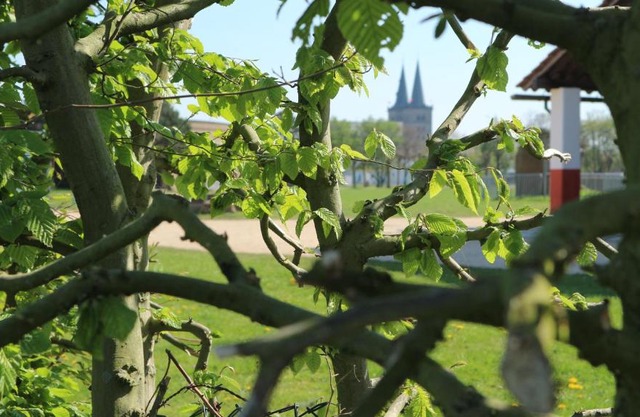 Ferienwohnung Kriemhild
