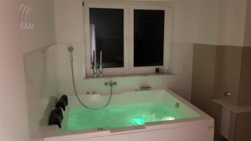 Ferienwohnung mit Jacuzzi Nähe Flughafen Köln Bonn