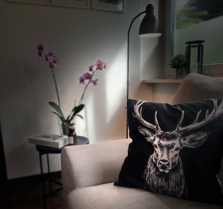Ferienwohnung Paradies Hella