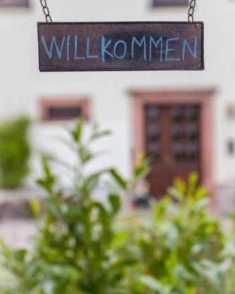 Ferienwohnung Rochlitzer Berg Blick