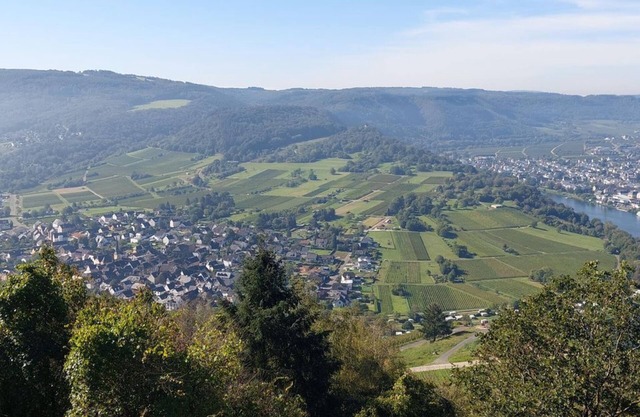 Ferienwohnung Wilk - Appartement/fewo