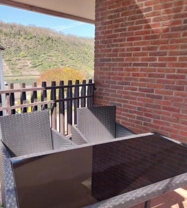 Ferienwohnung Weinberg mit tollem Moselblick
