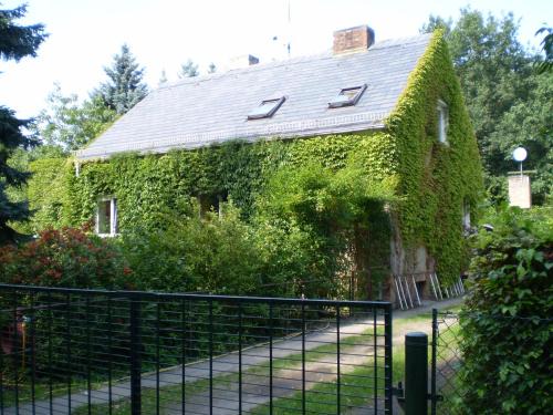 Ferienwohnung Wolf