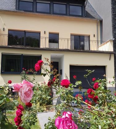 Ferienwohnung "Zum Klosterruinenblick"