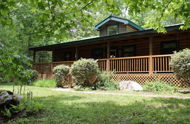 Fern Garden, A Cabin in Clifftops