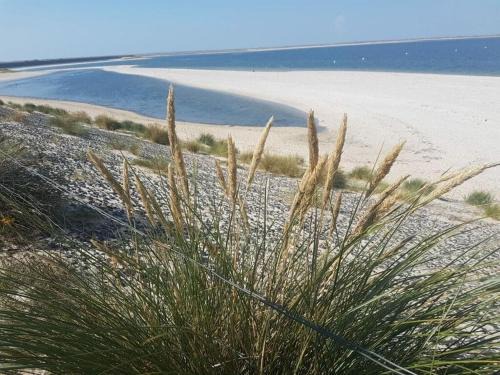 FeWo Nero Comfortable holiday residence