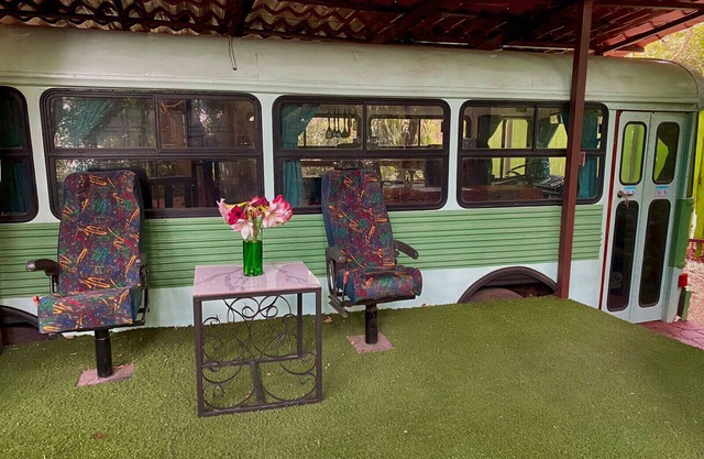 Ficus Wonders Bus. A Journey Through Nature