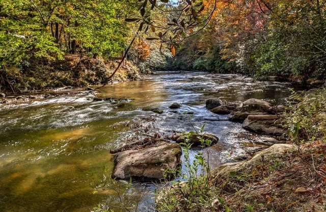 Fightingtown Creek Retreat - Pet Friendly, Steps to Creek, Hot Tub